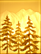 Fir trees on mountains