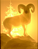 Ram lithophane shown lit